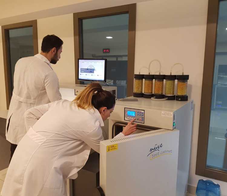 Ulusal ve Uluslararası Standartlarla Uyumlu Kalibrasyon